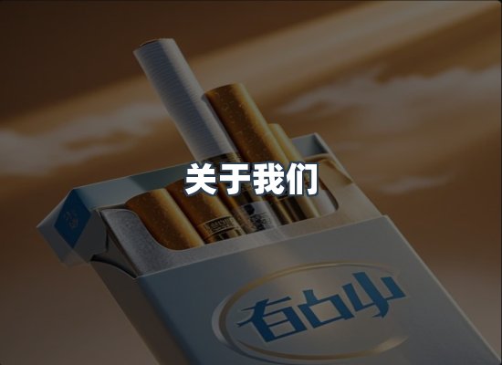 关于我们